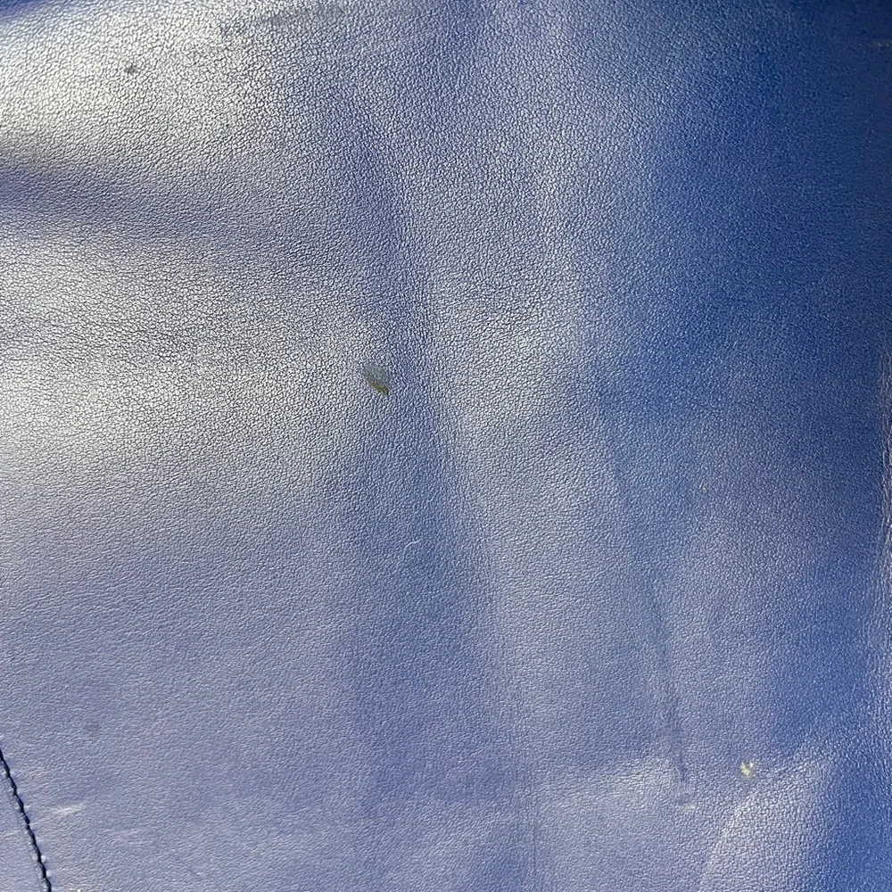 Everlane Blue Leather Tote Bag